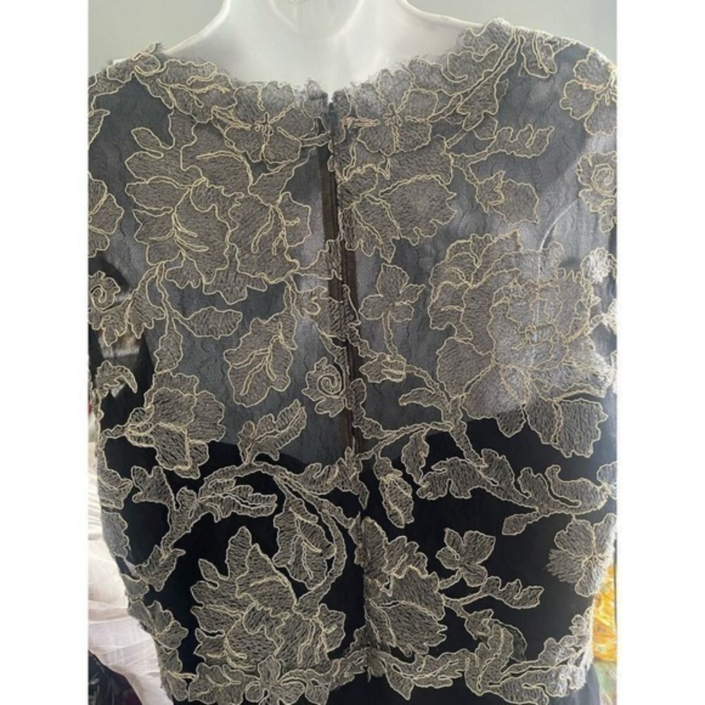 New Tadashi Lace Dress - Picture 6 of 9